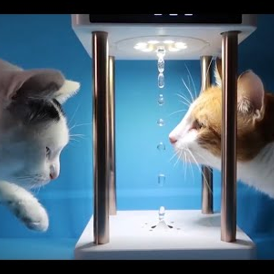 Anti Gravity Floating Levitating Water Drops