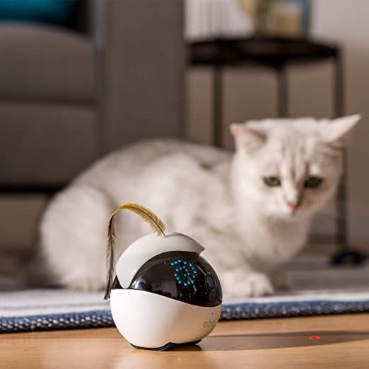 Ebo, The Smart Robot