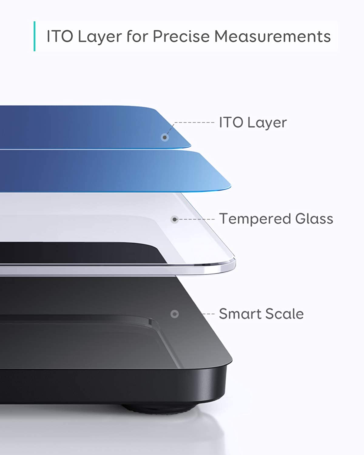 Eufy Smart Scale Fitness Body Composition Analysis