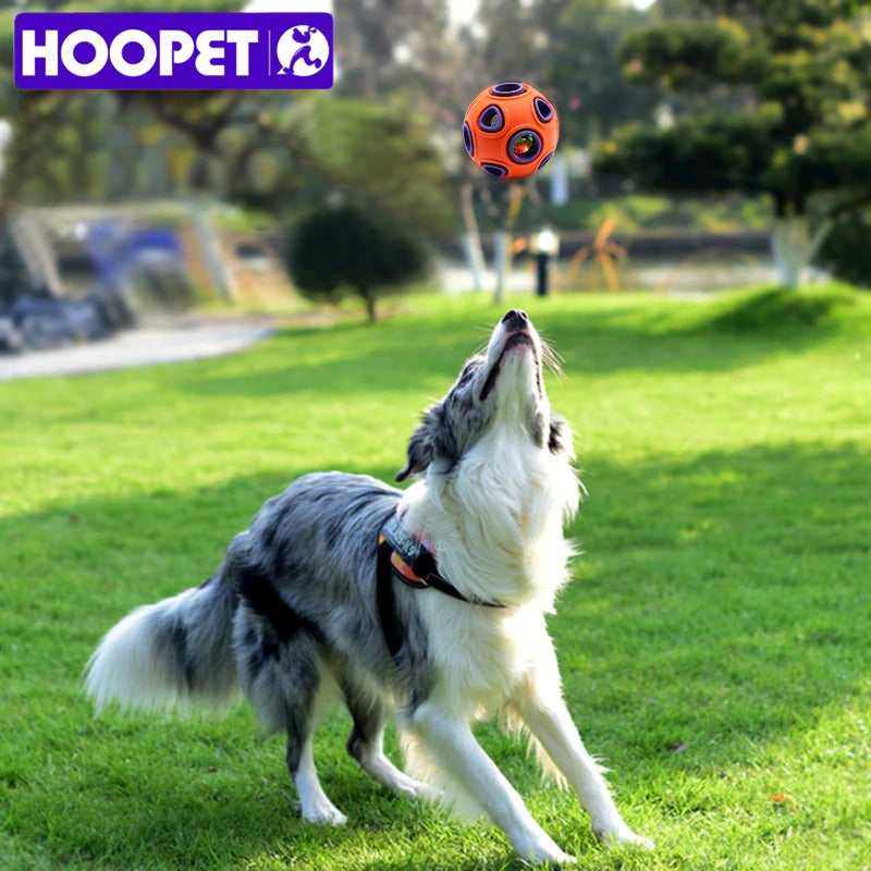 HOOPET Dog Chewable Toy