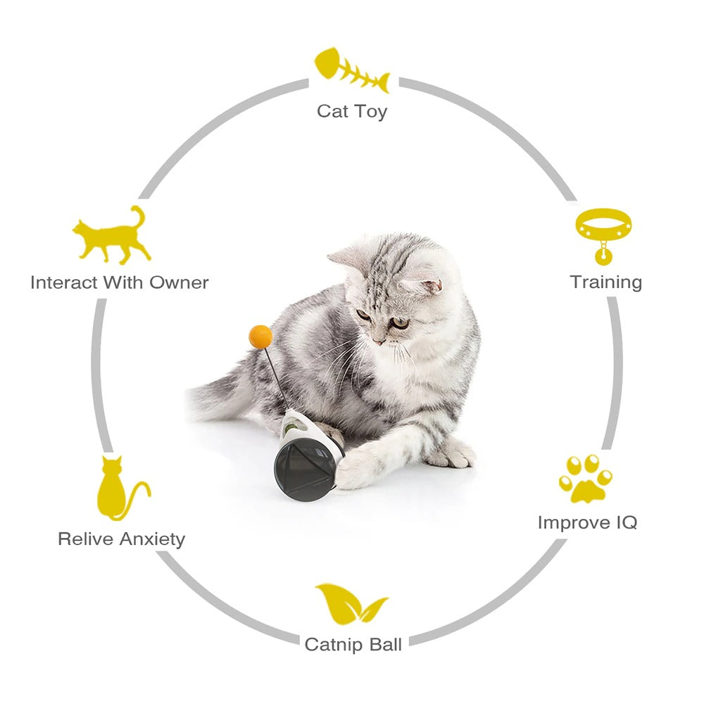 Interactive Kitten Swing Toy