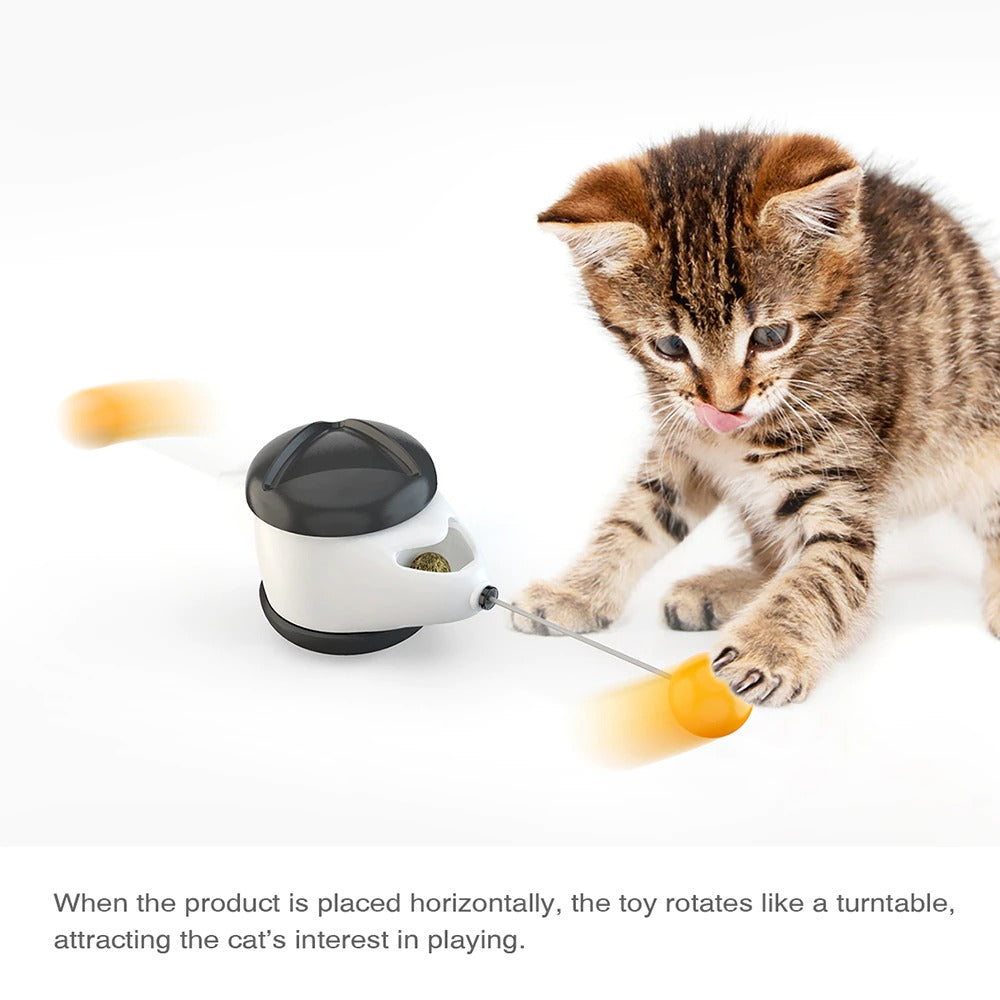 Interactive Kitten Swing Toy