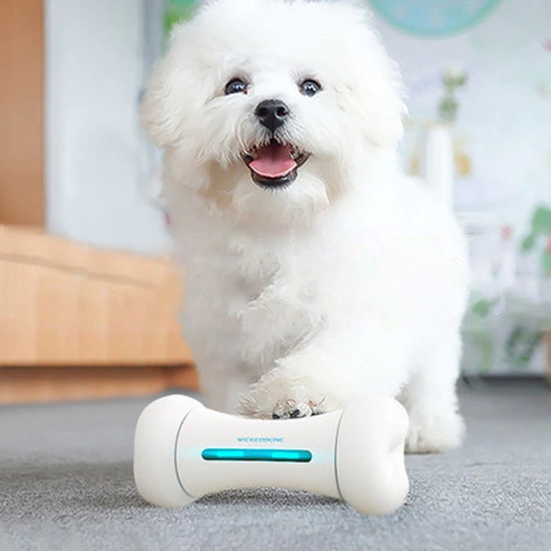 Smart Chewable Automatic Bone toy for Dogs