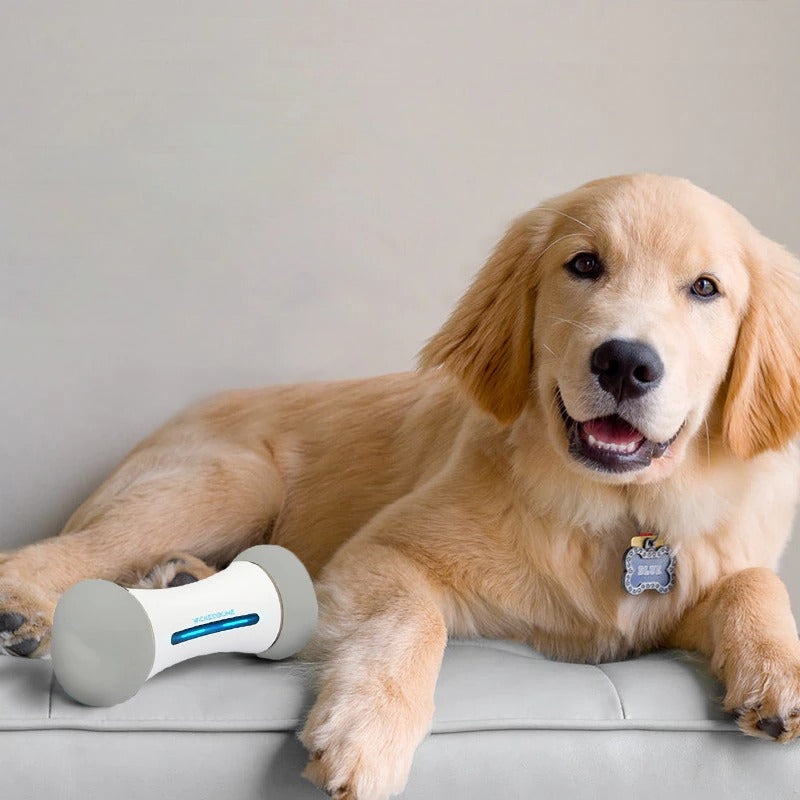 Smart Chewable Automatic Bone toy for Dogs